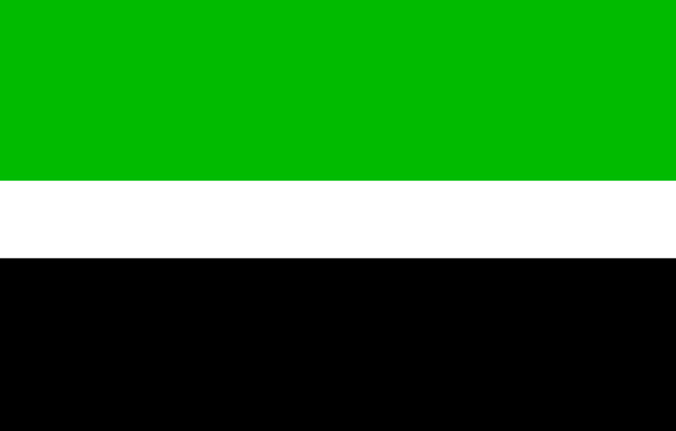 Mohamed Sal
