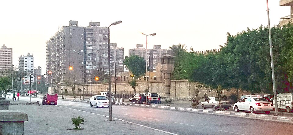 Mohamed Shawkan