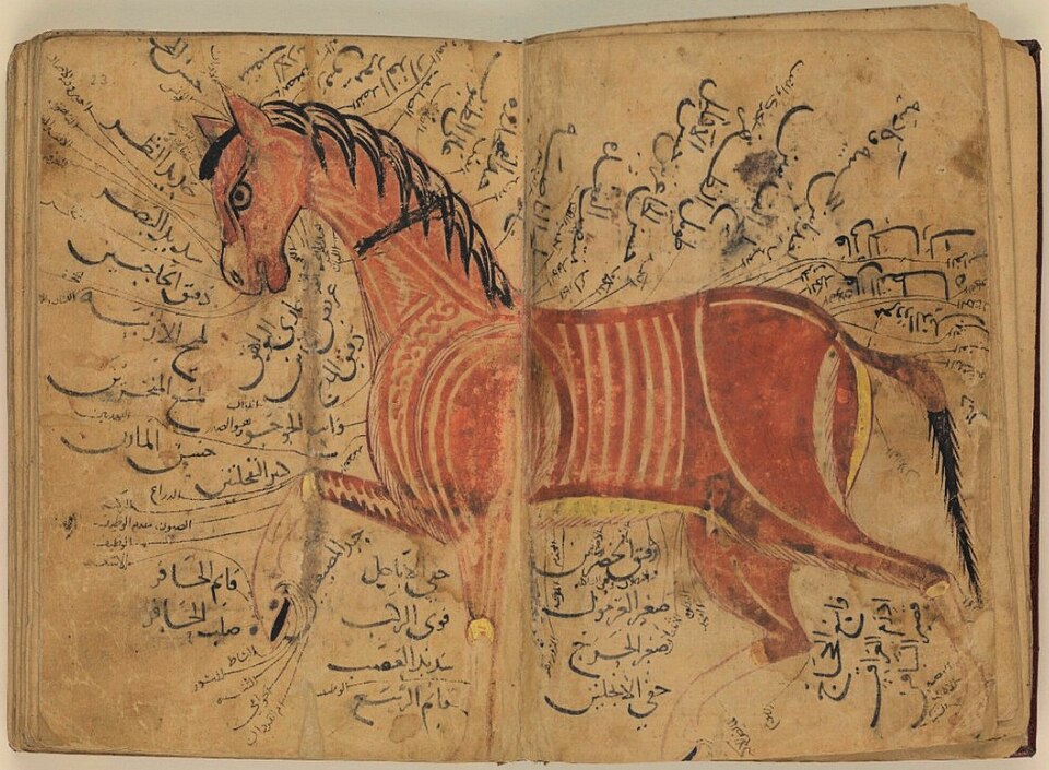 Mohammad Al-Fara