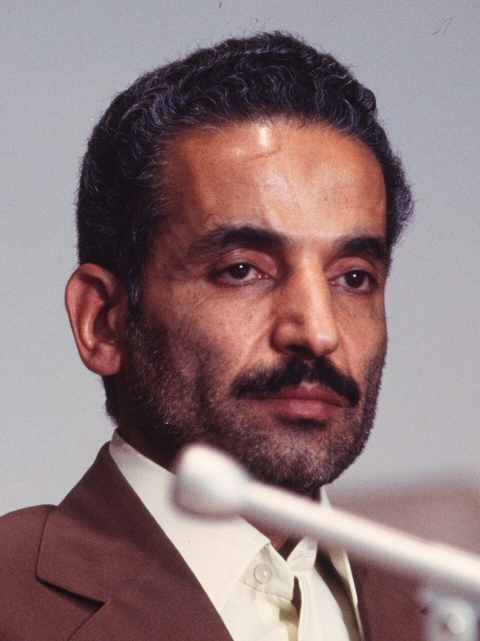 Mohammad-Ali Moallem