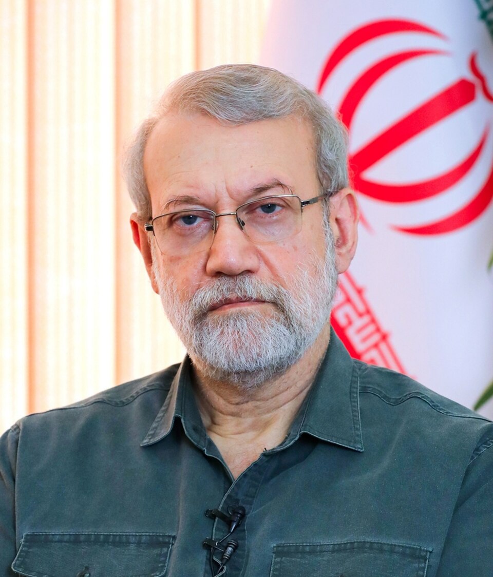 Mohammad Reza Larijani