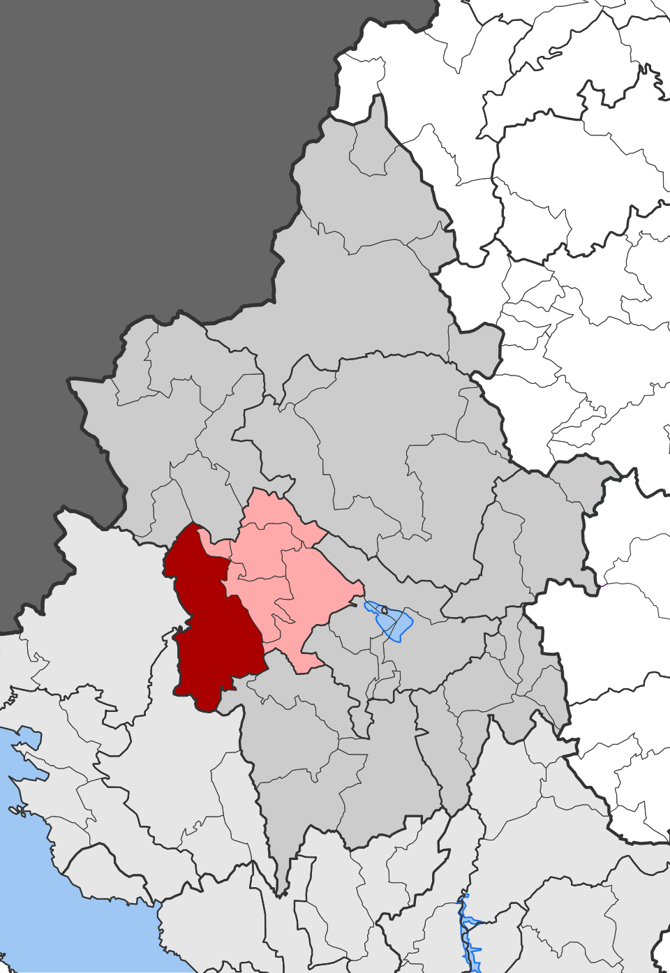 Molossi