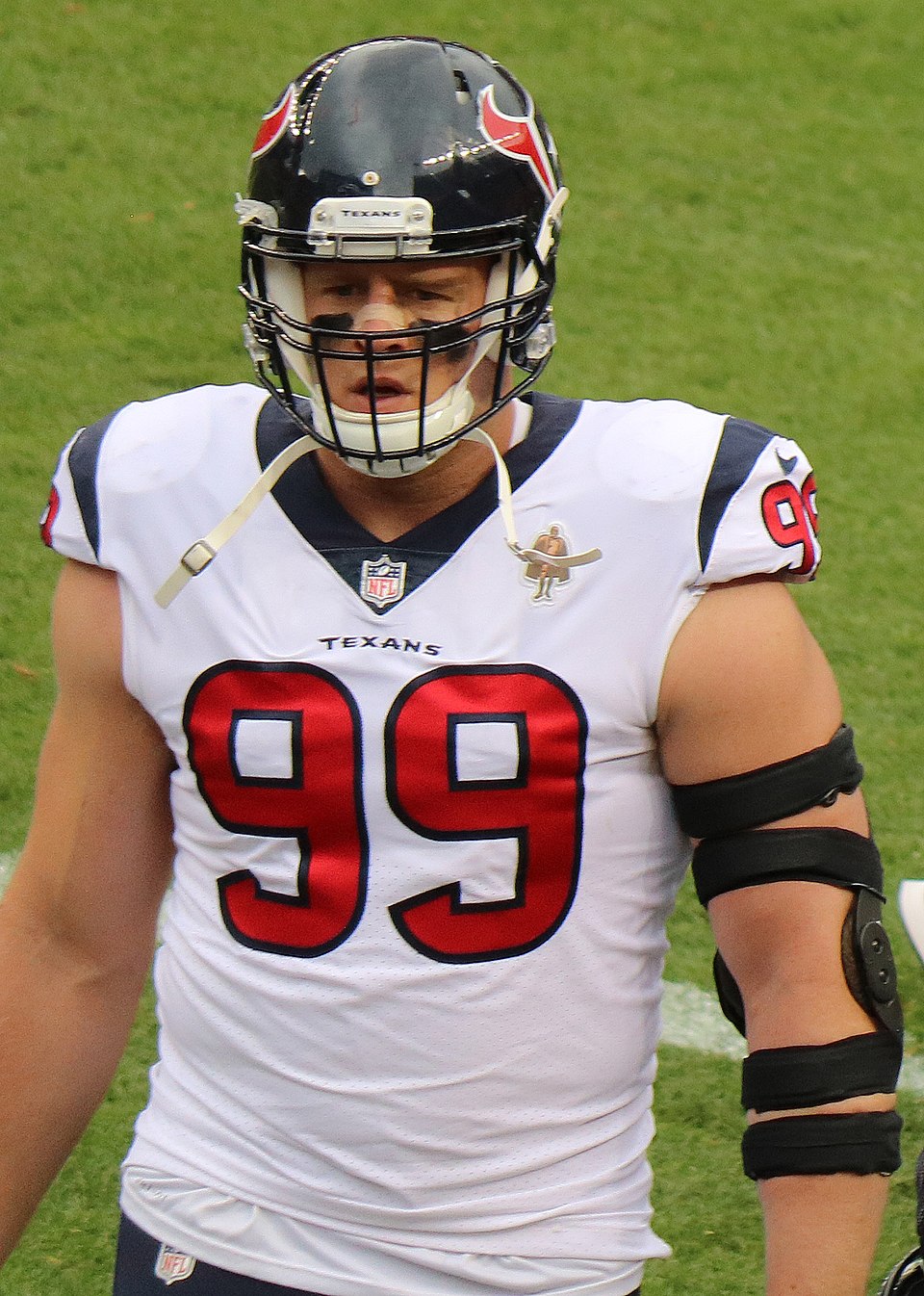 Montana Watt
