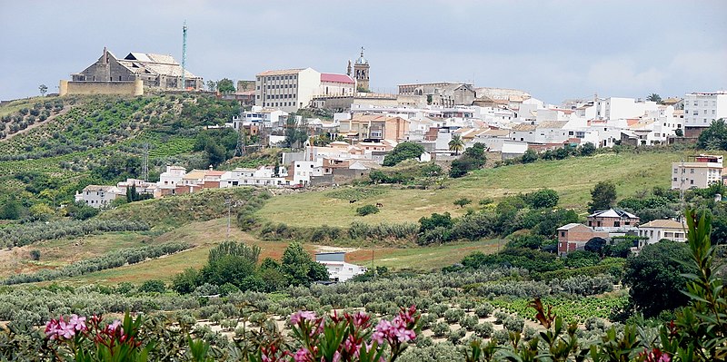 Montilla