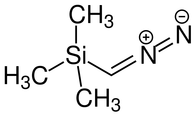 Mori Shigehiro