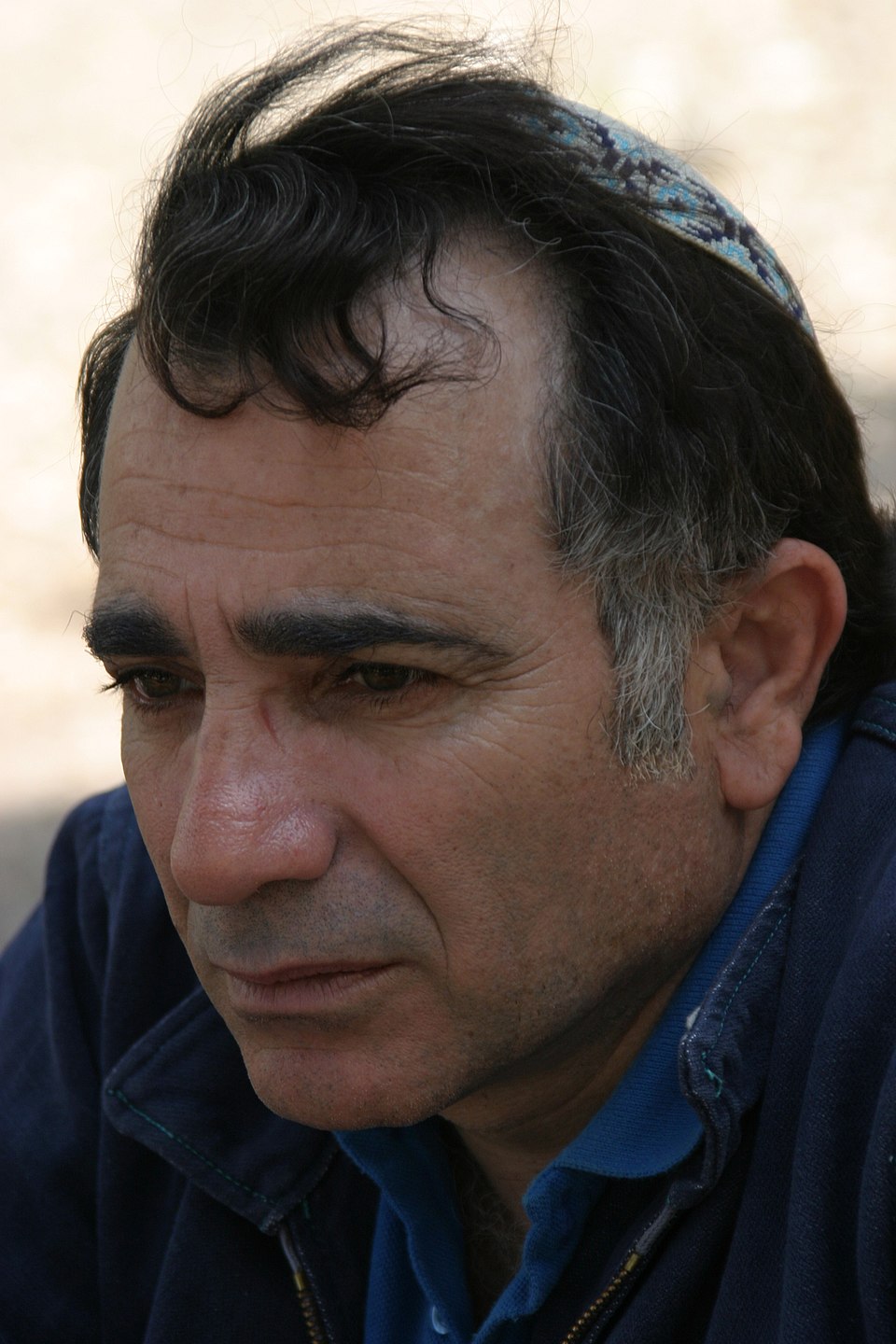 Moshe Ivgi