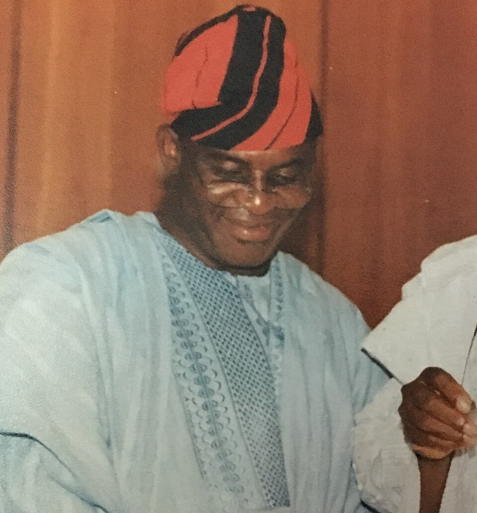Mr Olubunmi Adisa