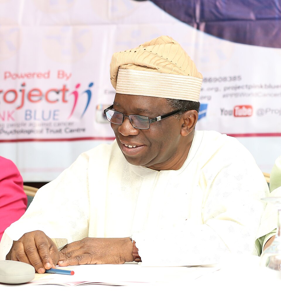 Mr Olufemi Adewole