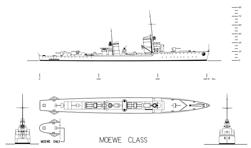 Ms. Raubvogel