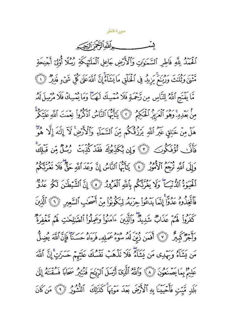 Muhammad Fatir