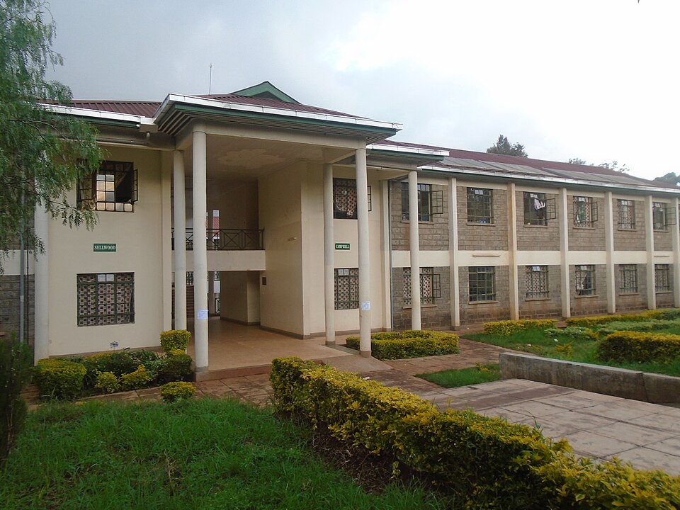 Mungai Ngugi