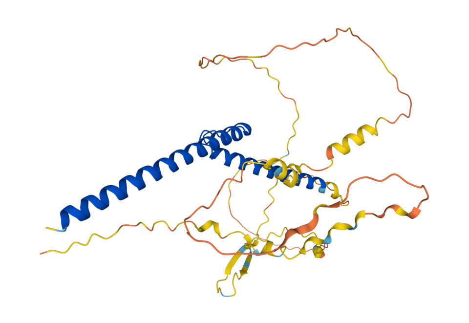Mycl