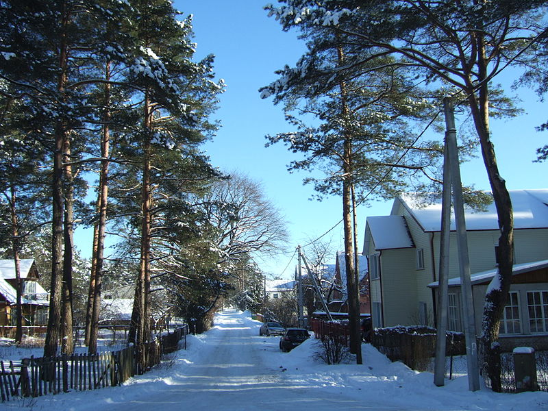 Mykolas Sopocka