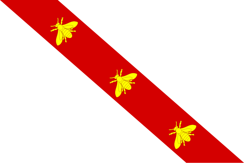 Napoleón Mata