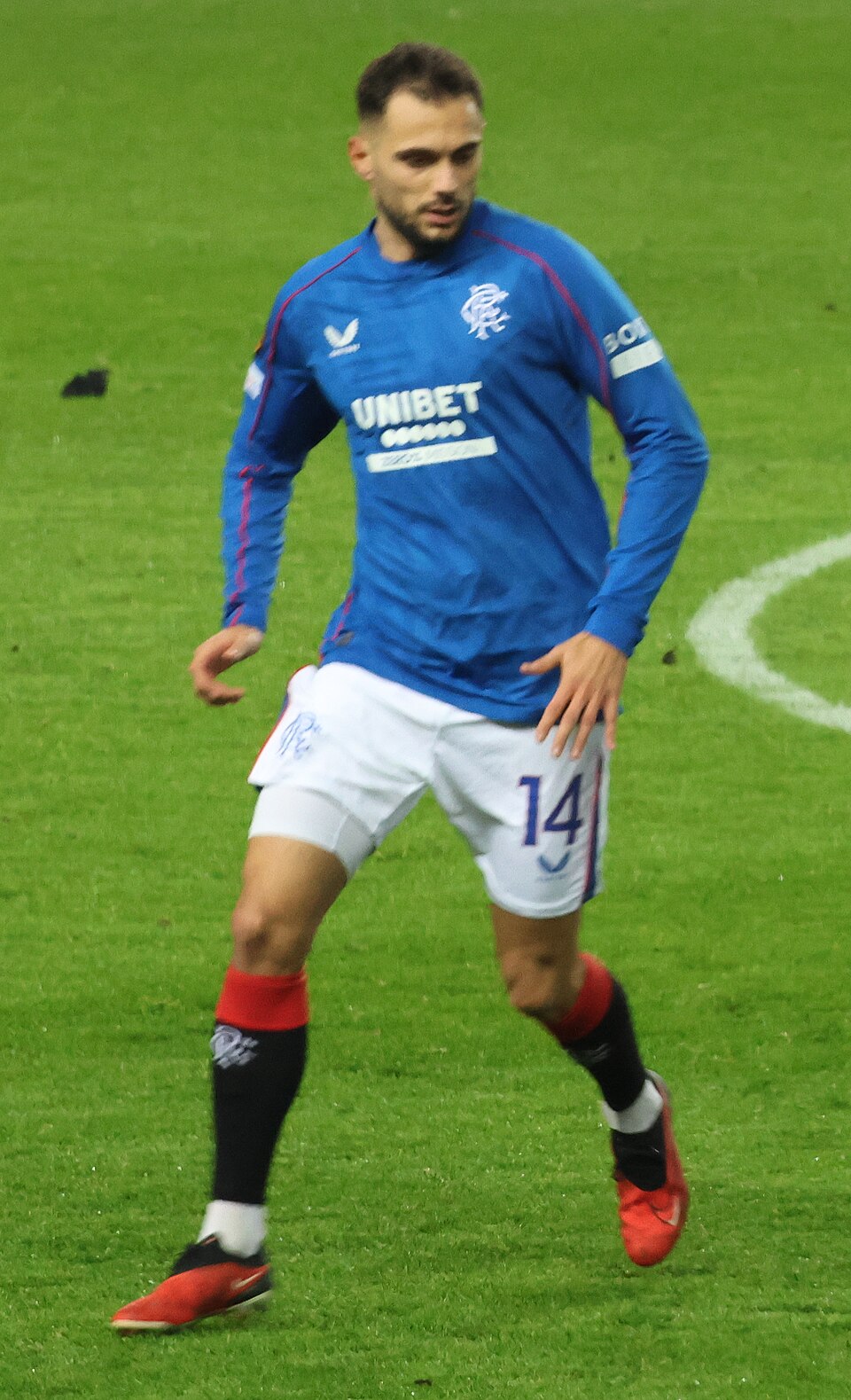 Nedim Hasic