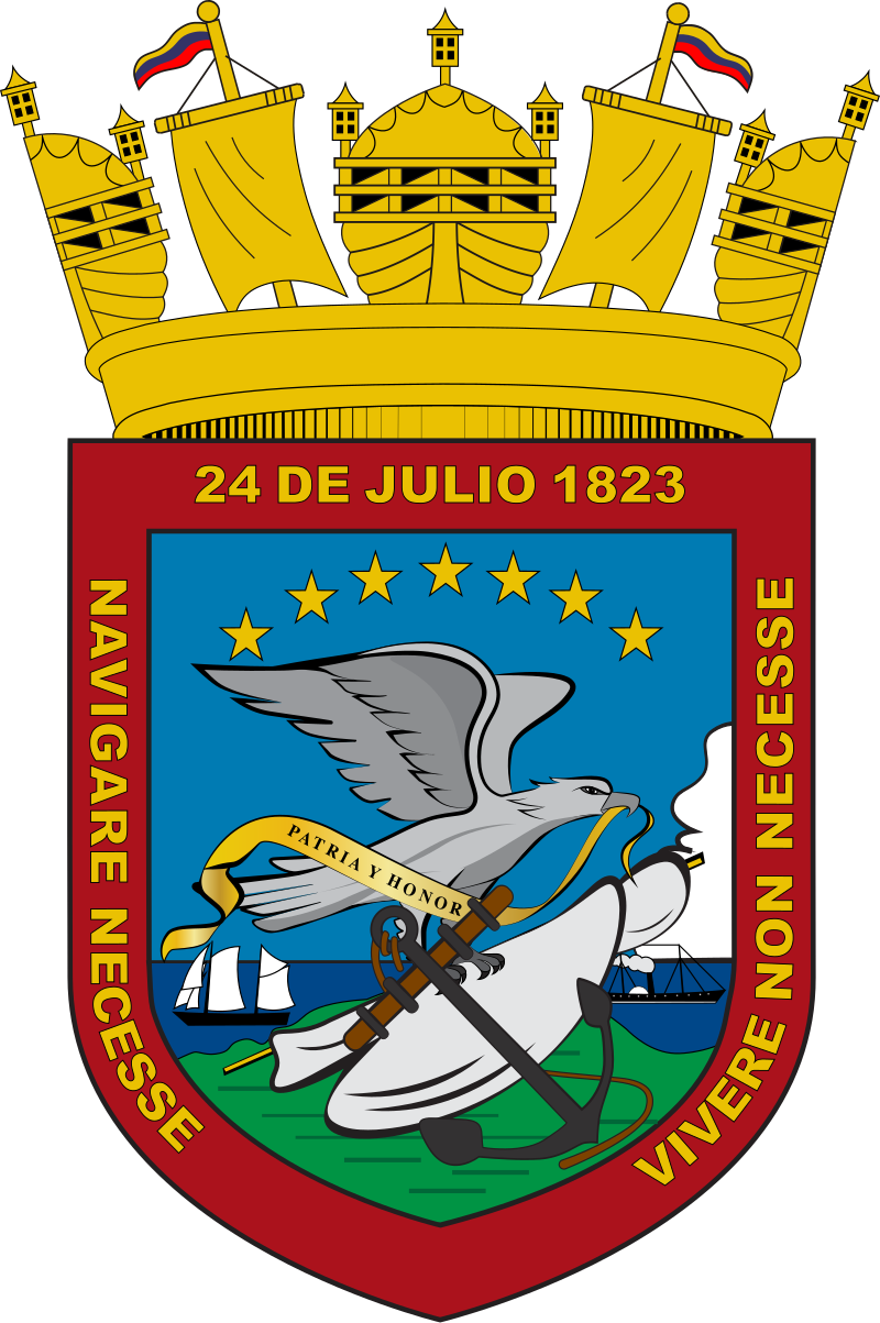 Neil Jesús Villamizar Sánchez