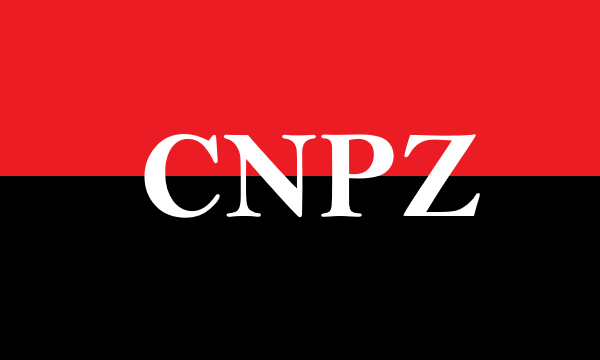 Néstor Paz