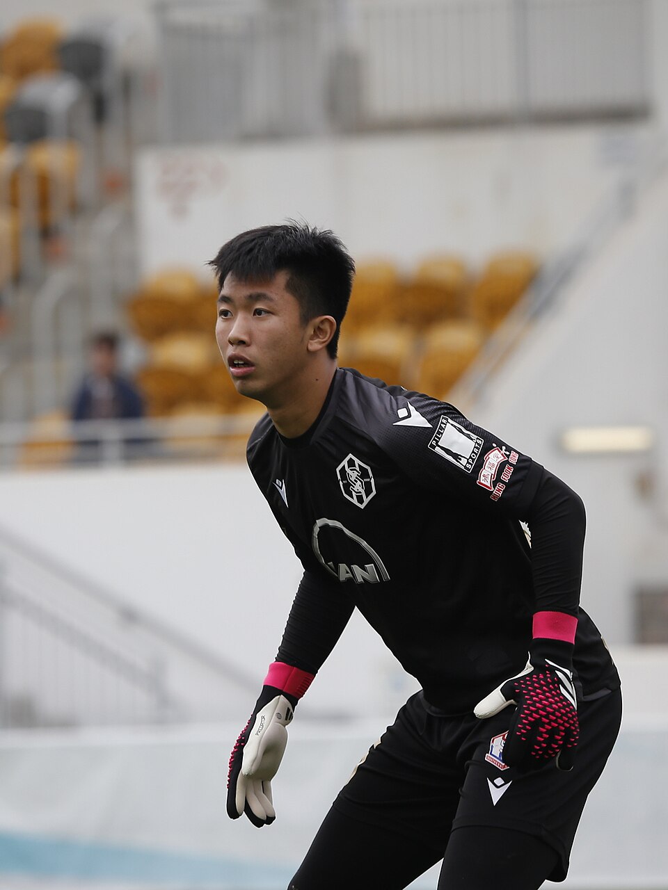 Ng Wai Hong