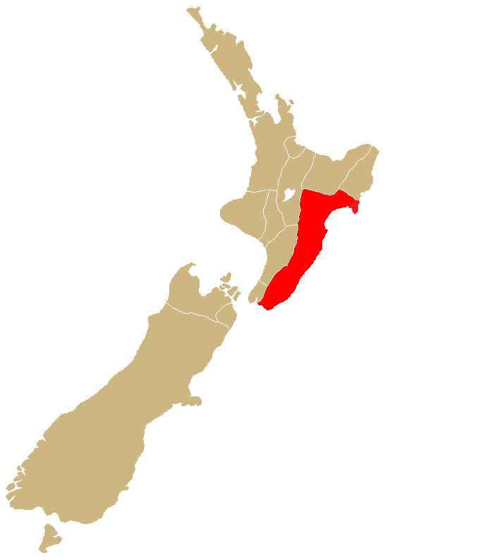 Ngahiwi Manuel
