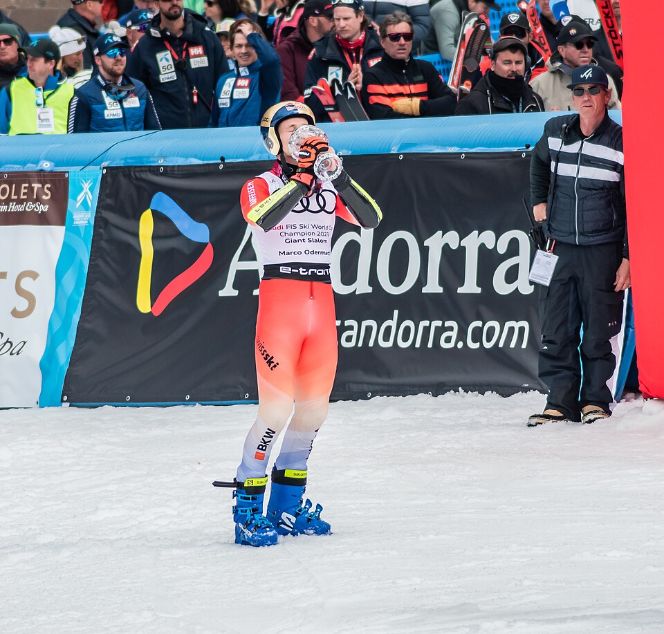 Nico Hirscher