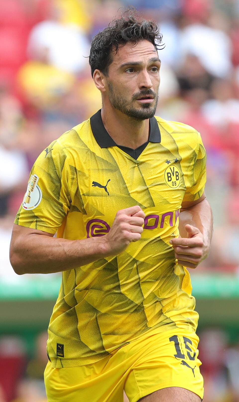 Nicola Cavanis