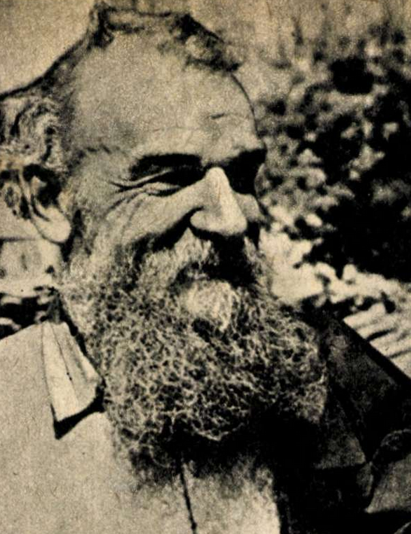 Nicolae Nicolăescu