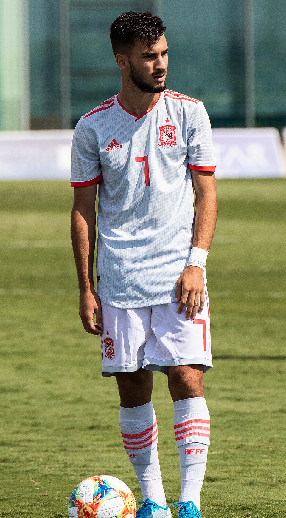 Nicolás Baena