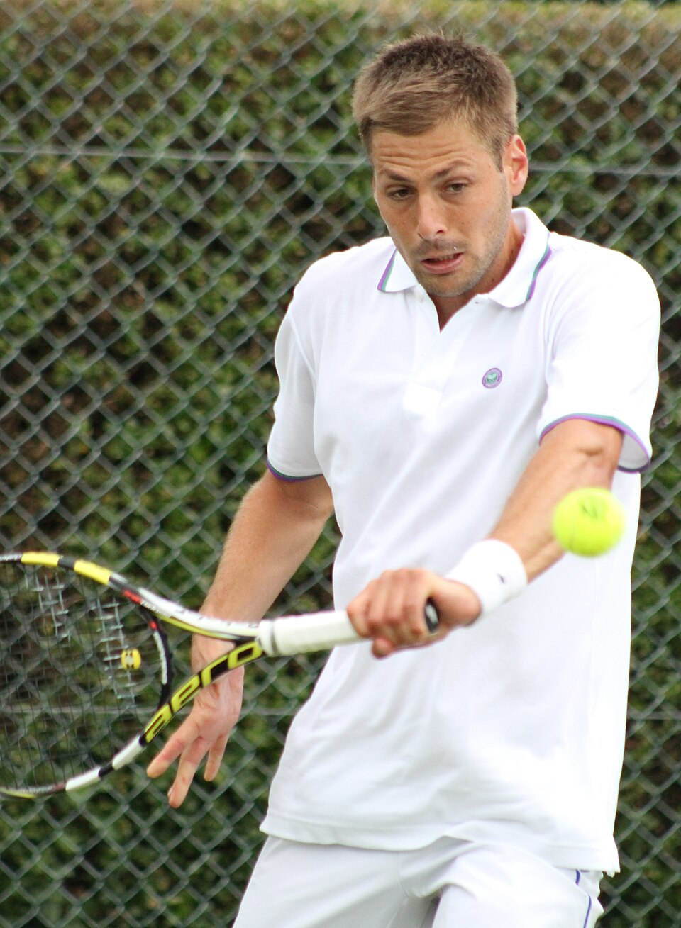 Nicolas Burquier