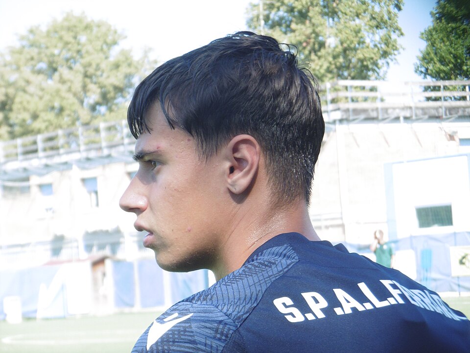 Nicolò Bollini