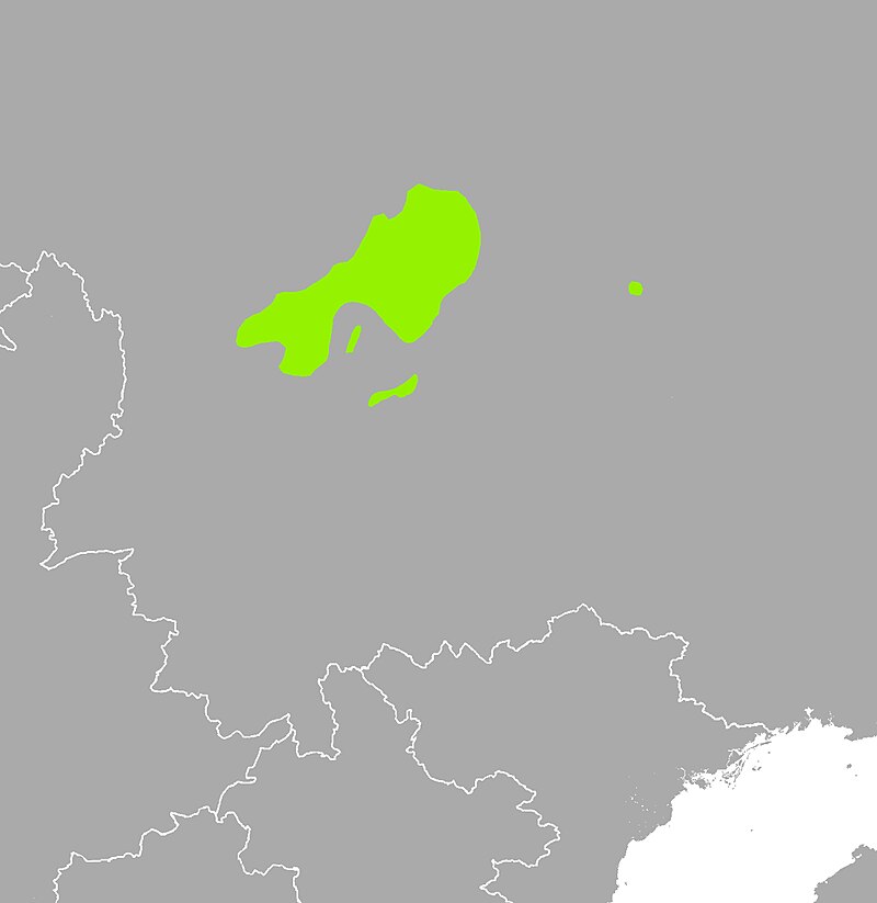 Nie Huidong