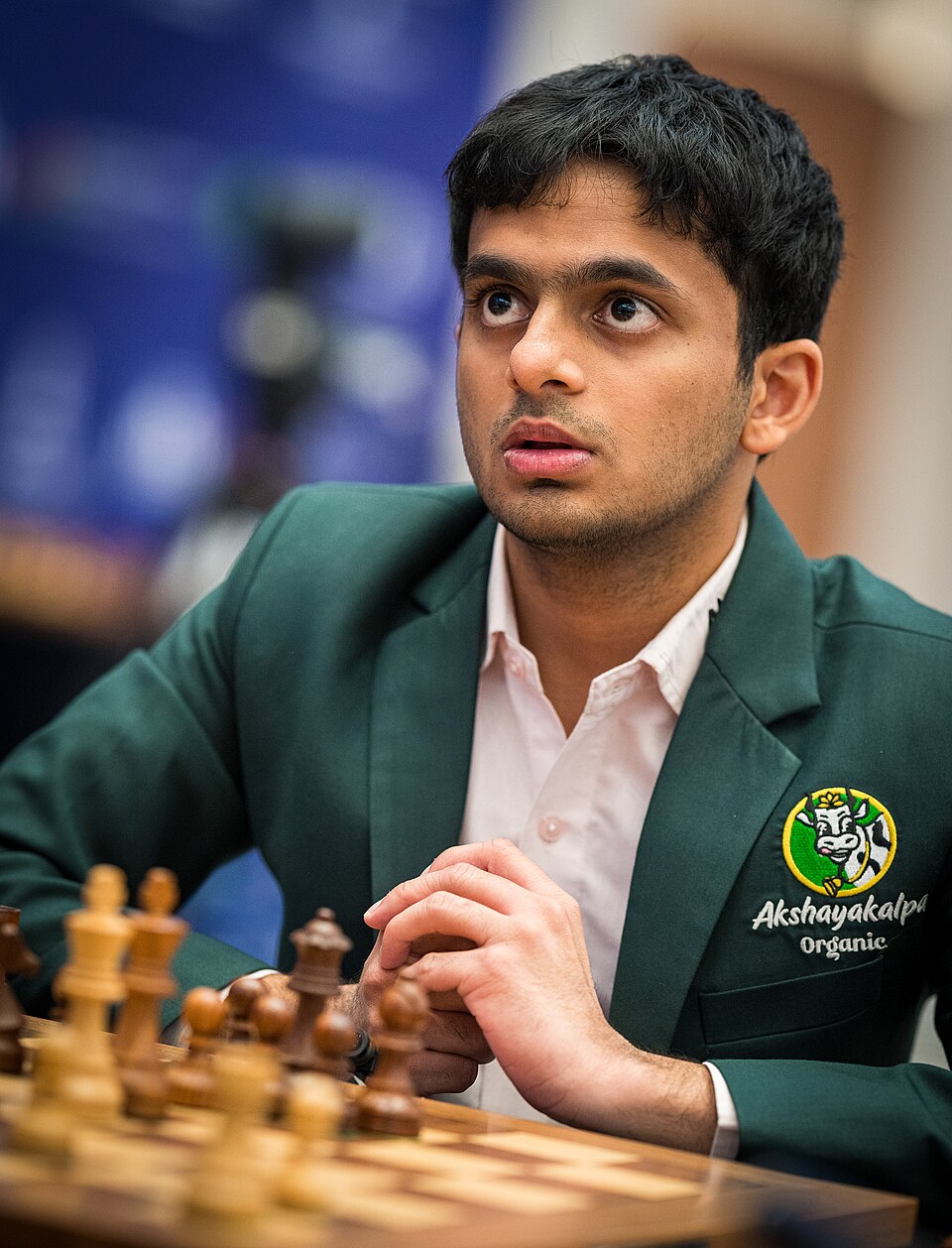 Nihal Gamal