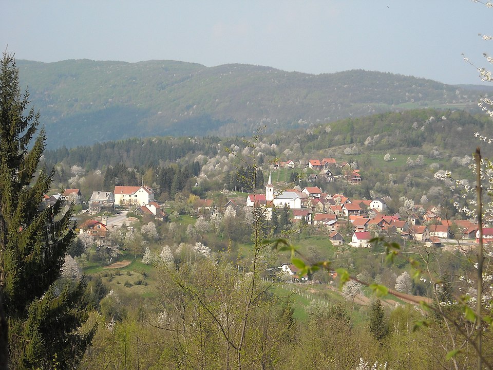 Nikola Domitrović
