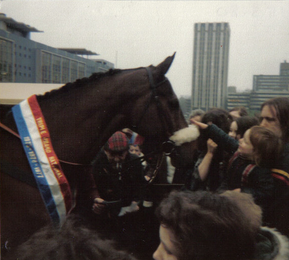 Noel Le Mare