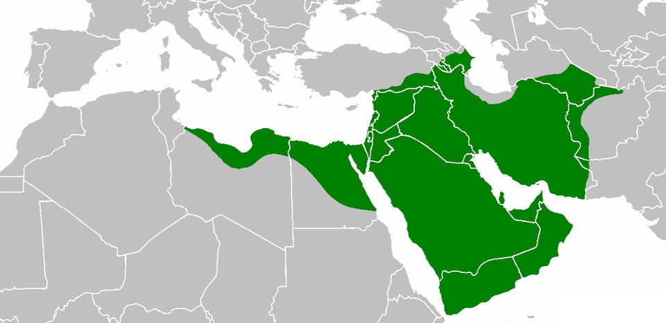 Noor Abu Al-Fotouh