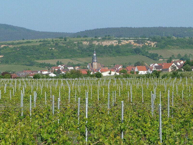 Norbert Scharf