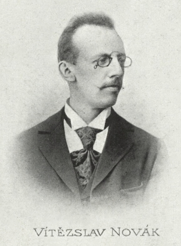Novak Rudolf