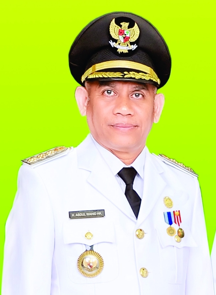 Nufus Wahid