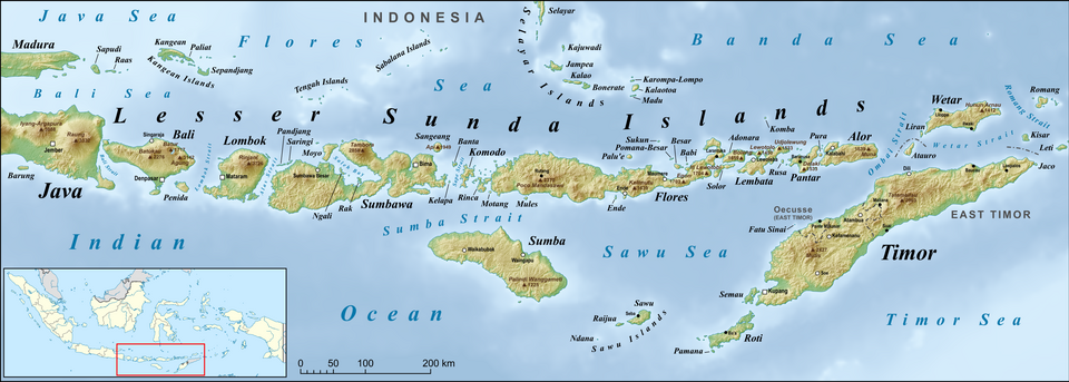 Nusa
