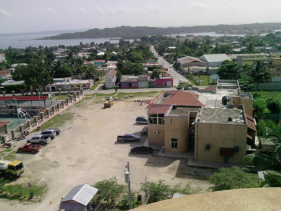 Ochaeta