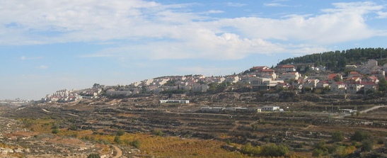 Oded Revivi
