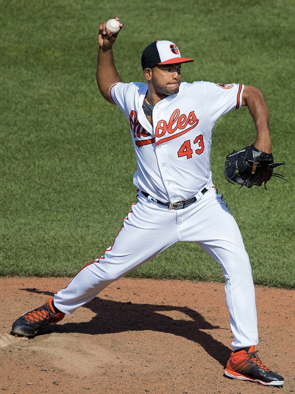Odrisamer Despaigne