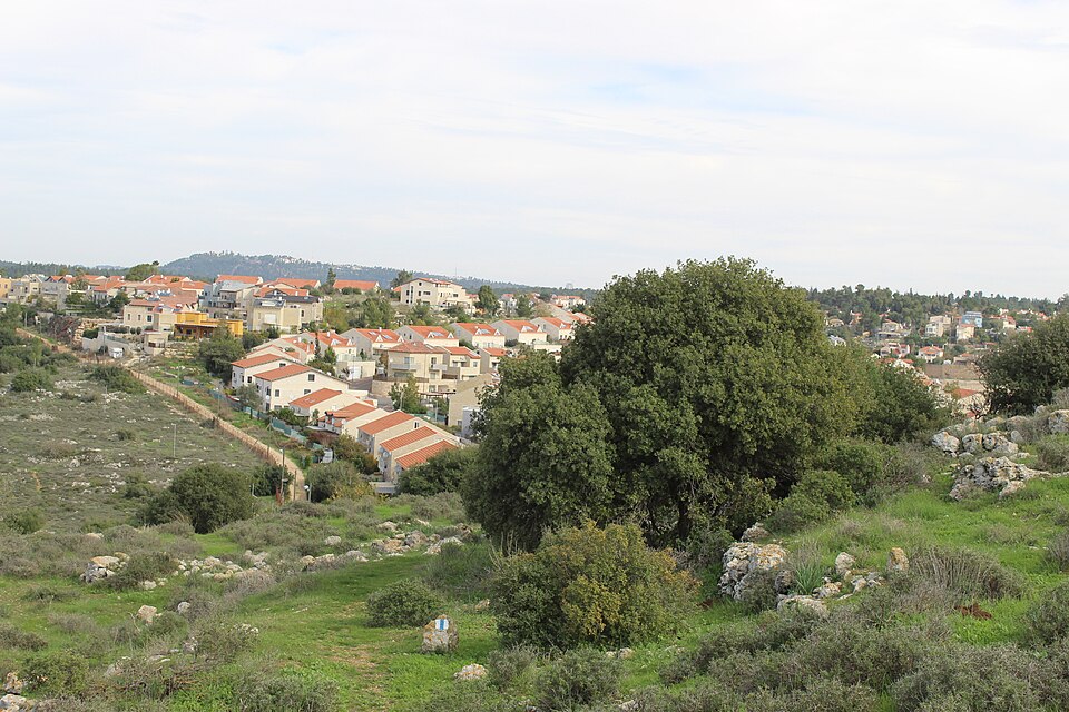 Ofer Tzur