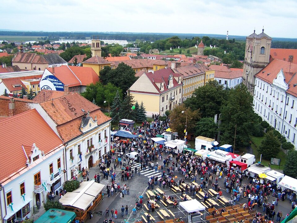 Oľga Luptáková