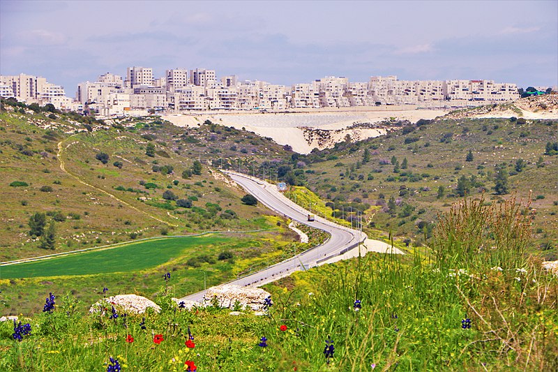 Or Shemesh