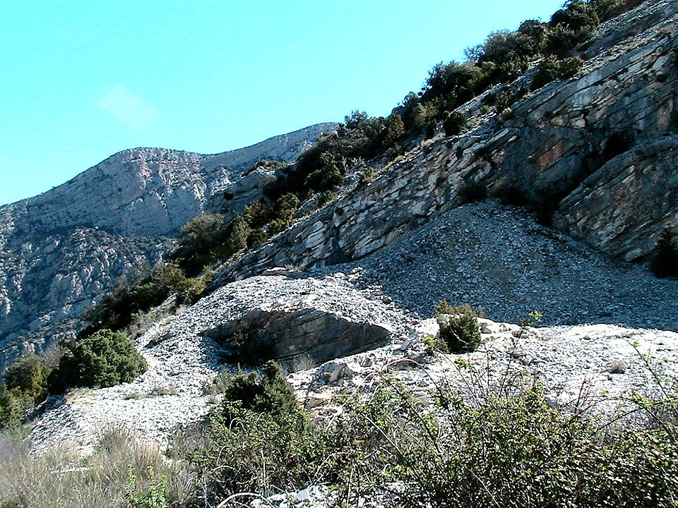 Oriol Vidali