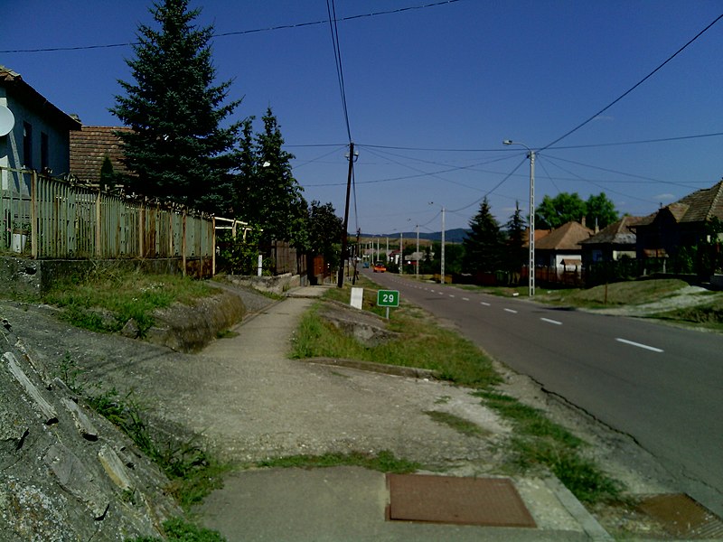 Ortó Szilárd