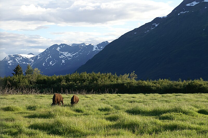 Our Anchorage