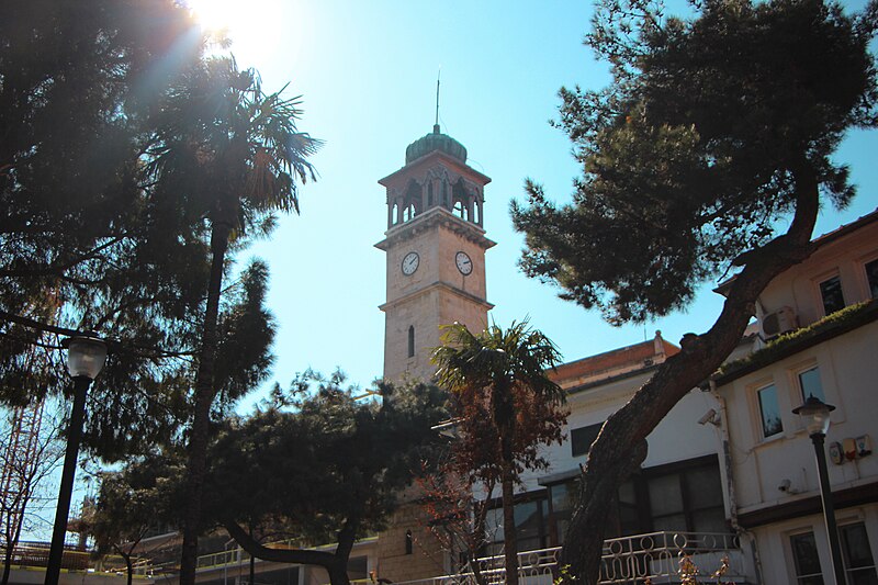 Özalp Tozan