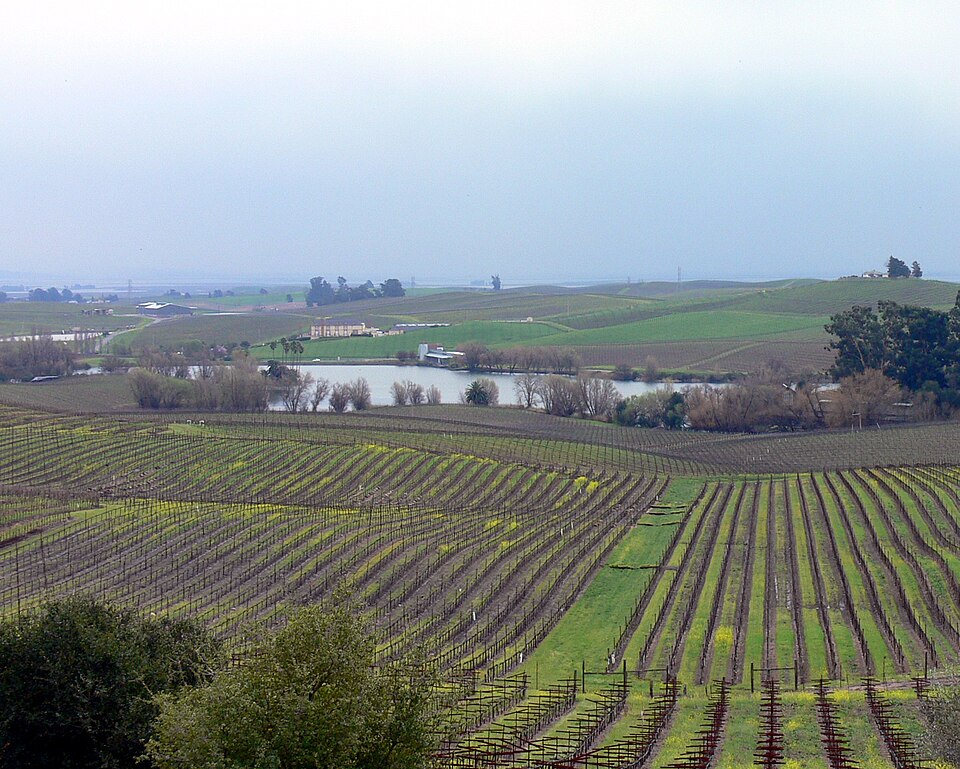 Pablo Carneros