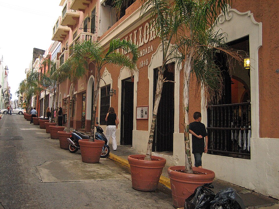 Palma Ortiz